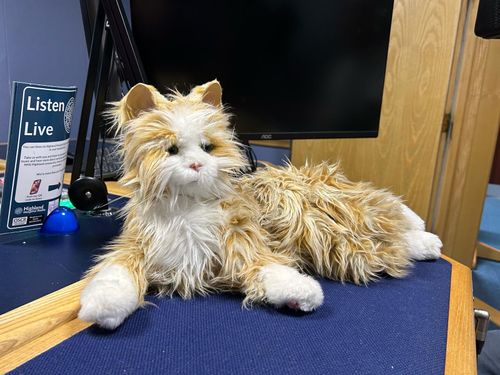 Out There Wilfred.JPG